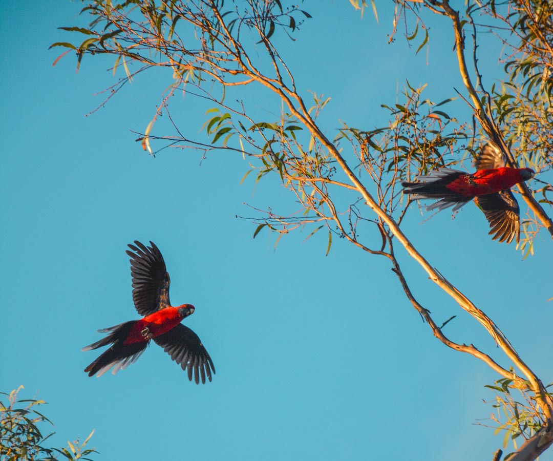 Aged care jobs in Woodford Manor Aged Care, QLD